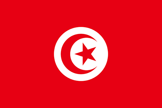 tn flag 2